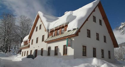 Apartment Near Ski Slopes