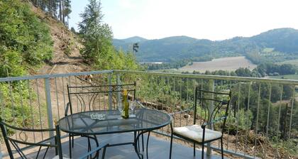 Comfortable Villa in Nedvedice With Private Garden