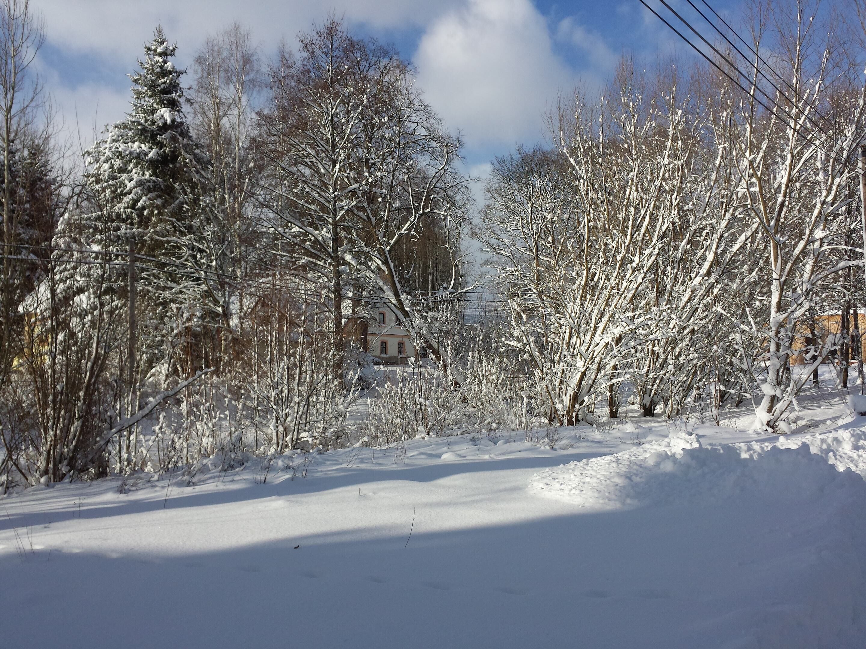 House | View from property