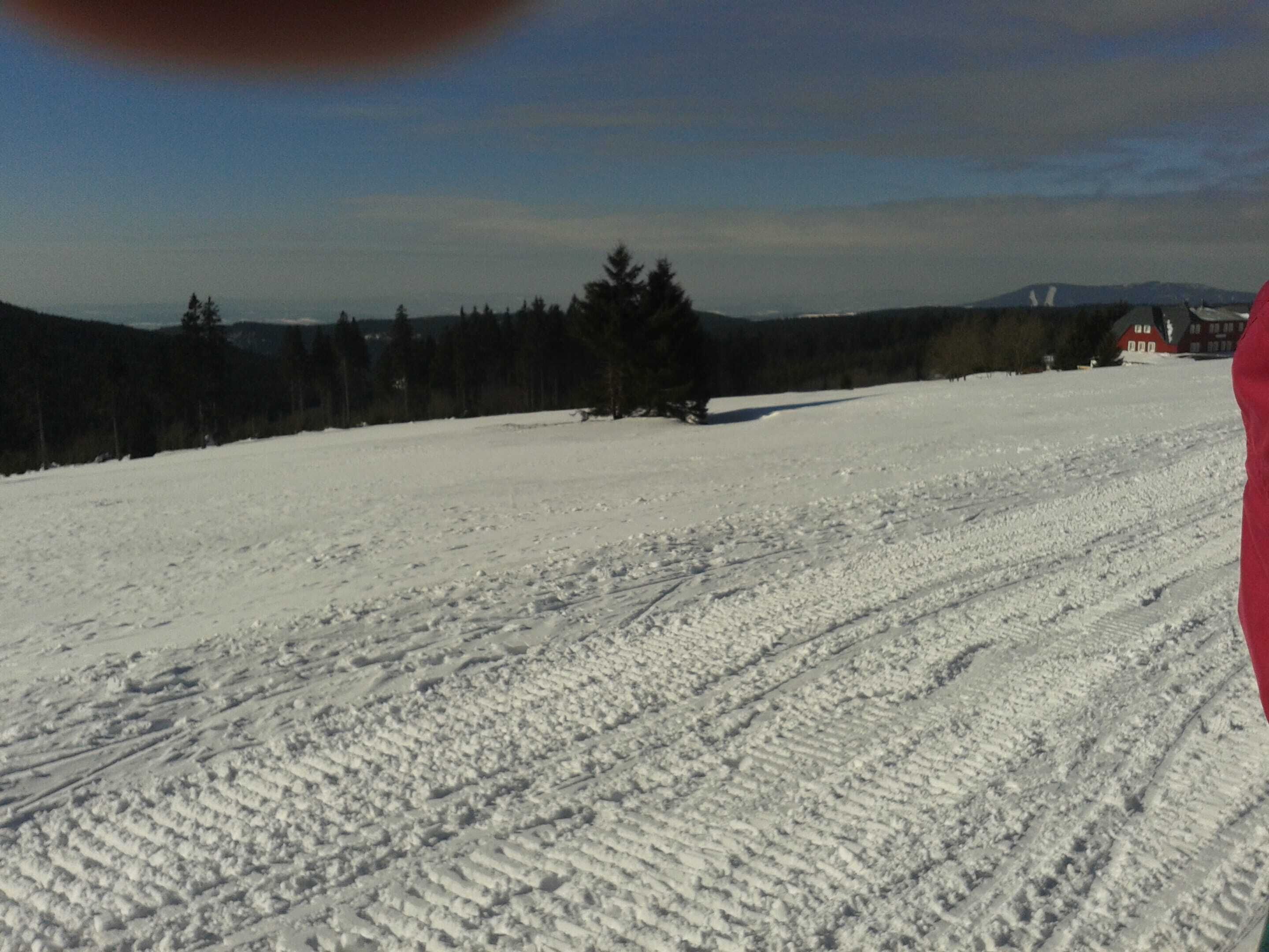 A snowy landscape with tracks, a few trees, and distant buildings.