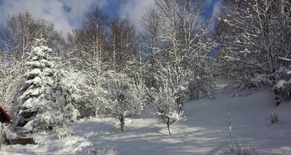 Holiday Home Rudnik Near Ski Lift