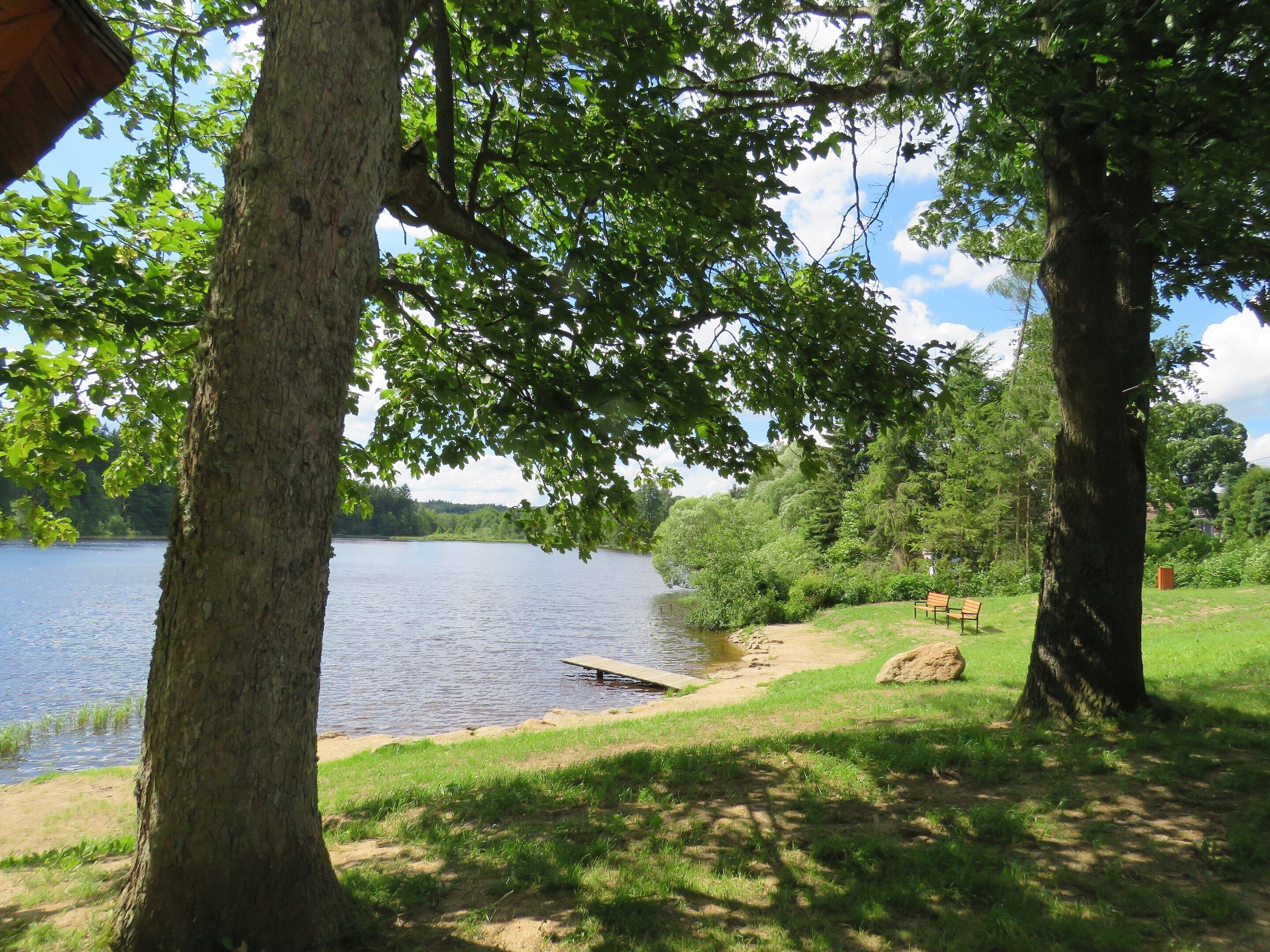 Un parco sul lago con una panchina di legno e un tavolo da picnic.