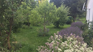 Casa | Jardim