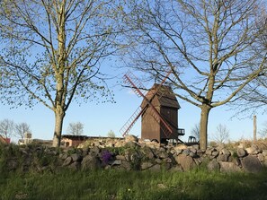 Exterior - Quaint Cottage in Steffenshagen near Sea (Steffenshagen)