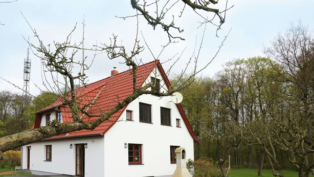Exterior - Spacious Holiday Home in Heiligendamm near Forest (Bad Doberan)