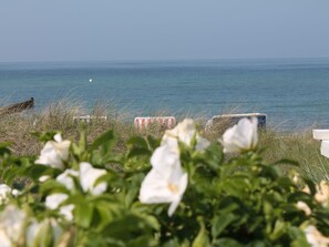 Exterior - Child Friendly Apartment near Beach in Wittenbeck (Wittenbeck)