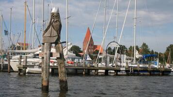 House | View from property