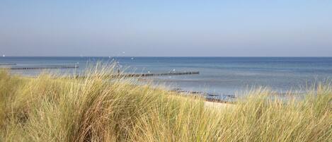 House | View from property