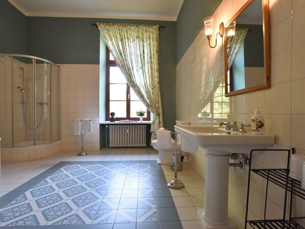 Shower, hair dryer, towels