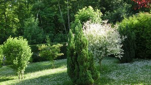 Ein Garten mit verschiedenen Bäumen und einer Rasenfläche.