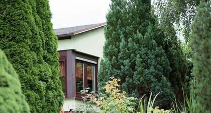 Warm Holiday Home in Möschwitz Saxony With Private Terrace