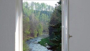 Une fenêtre donnant sur une rivière bordée d’arbres.