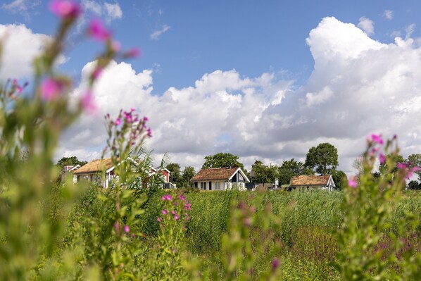 House | View from property