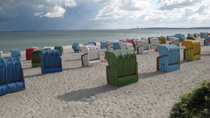 Une plage où les chaises longues sont alignées en rangées et numérotées.