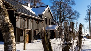 Exterior - Unique House in the Vogtland Region With Open Architecture and Special Atmosphere (Klingenthal)