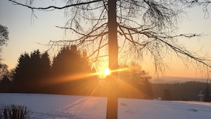 Pool - Unique House in the Vogtland Region With Open Architecture and Special Atmosphere (Klingenthal)