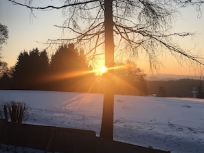 Pool - Unique House in the Vogtland Region With Open Architecture and Special Atmosphere (Klingenthal)