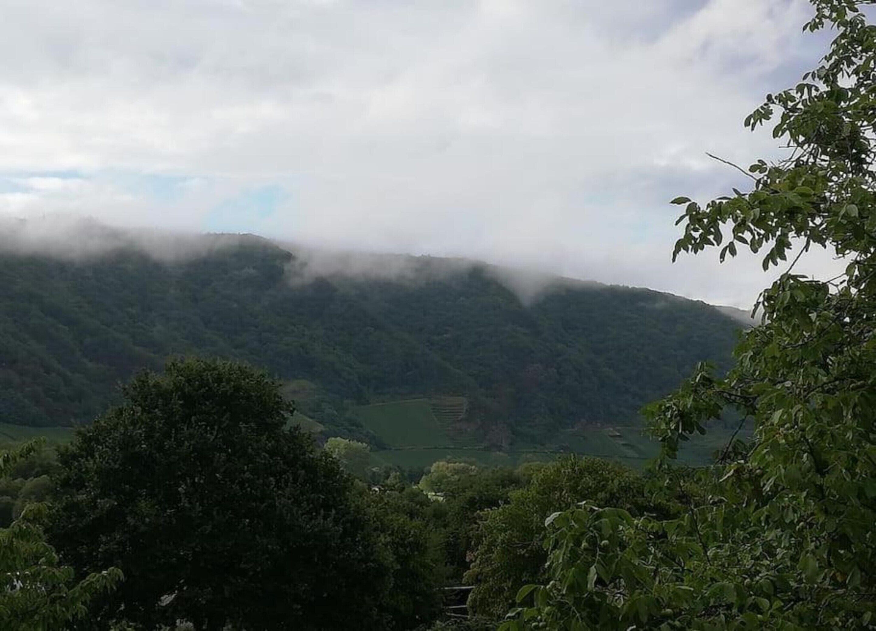 A mountainous landscape with dense forest and a valley.