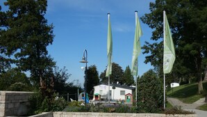 Ein gepflasterter Bereich mit Steinmauern und grünen Pflanzen.
