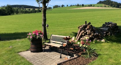 Holiday Home in Willingen With Terrace and Garden - Including Mein Card Plus