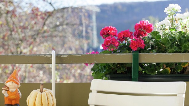 Unclassified image, 1 of 31, button - Charming Apartment in Wienrode Near Braunlage Ski Area (Wienrode)