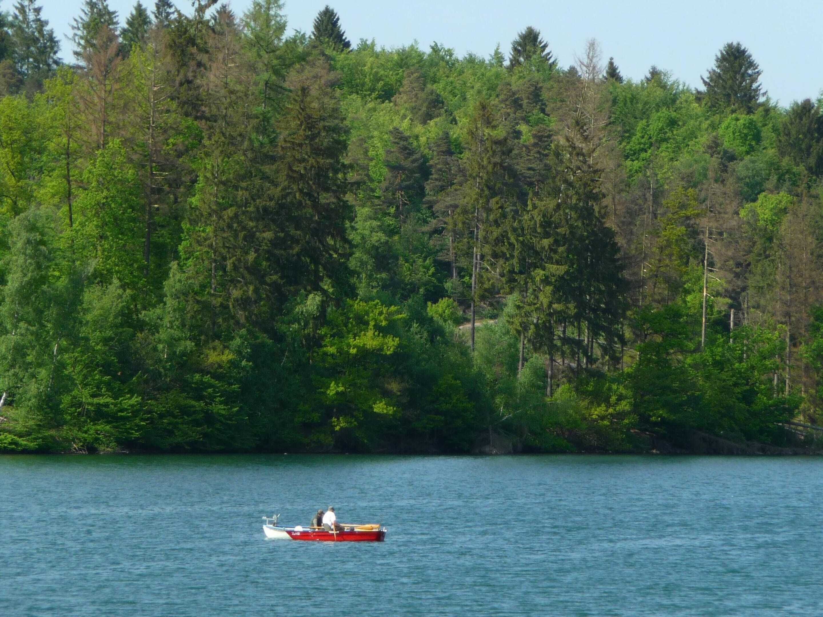 En båt på en stilla sjö, omgiven av tät skog.