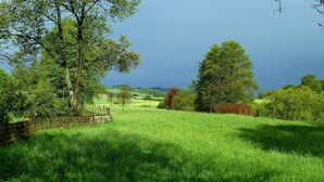 Un campo verde y exuberante con una cerca de madera, árboles y una vista distante de un pueblo.