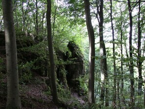 Exterior - Spacious Holiday Home in Hinterhausen Near Forest (Gerolstein)