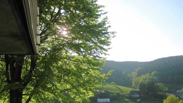 Vista de un paisaje verde con un edificio blanco a lo lejos, rodeado de árboles y colinas.