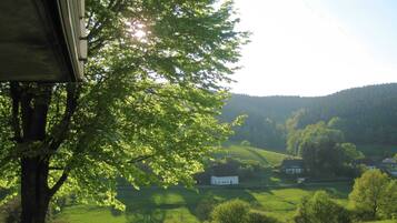 Apartment | View from property
