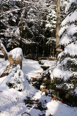 Apartment | View from property