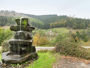 Exterior - Large Flat With Private Terrace in Baiersbronn in the Northern Black Forest (Baiersbronn)