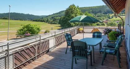 Large Flat With Private Terrace in Baiersbronn in the Northern Black Forest