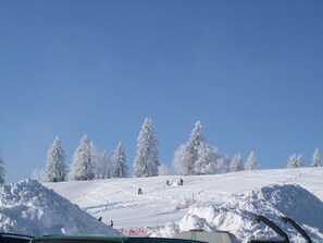 Exterior - Modern Apartment in Brandenberg Near Ski Area (Todtnau)