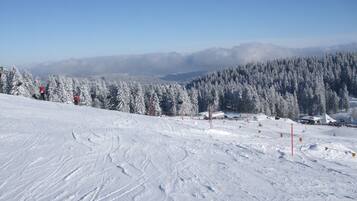 Snow and ski sports