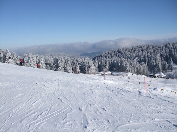 Snow and ski sports