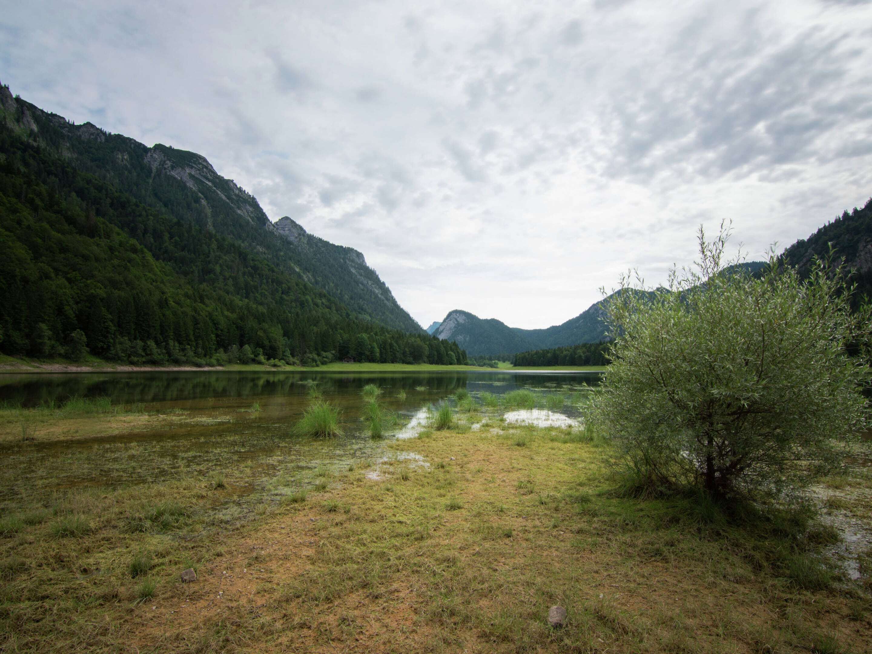 A natural landscape with a lake, mountains, and a grassy foreground.