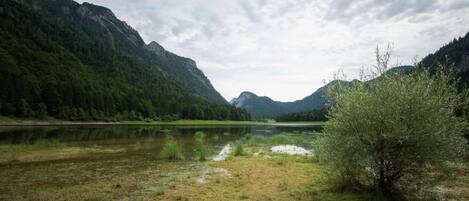 A natural landscape with a lake, mountains, and a grassy foreground.