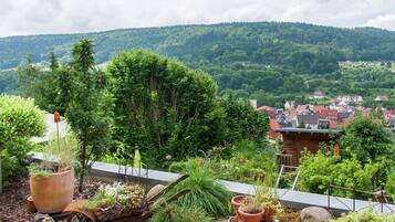 Apartment | Balkon