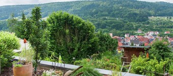 Modern Apartment in Zella-mehlis With Private Lawn
