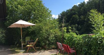 Holiday Home on Historical Castle Walls in the Bavarian Forest Nature Reserve