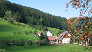Unclassified image, 2 of 26, button - Cozy Apartment in Vorderer Tonbach With Parking (Baiersbronn)
