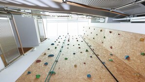 A climbing wall with various colored holds and a rope ladder. - Apartment in Bad Durrheim Near Lake Constance (Bad Duerrheim)
