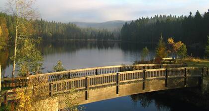 Modern Holiday Home in Fichtelberg With Terrace