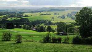 Exterior - Spacious Apartment in Rickenbach Near Ski Area (Rickenbach)