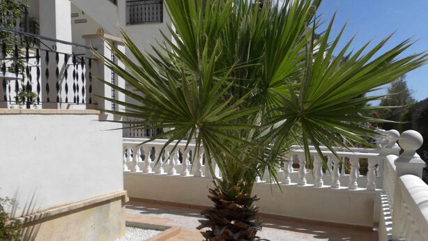 Huis | Exterieur