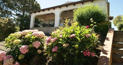 Luxurious Villa in Lloret de Mar With Private Pool