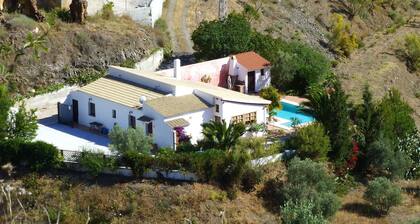 Detached Finca With Salt-water Pool, in a Rural Location Near Torre del Mar