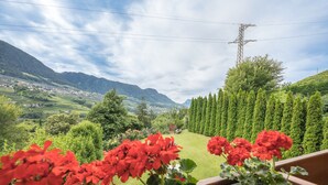 A balcony with red flowers, a view of a green landscape, and a power line tower.