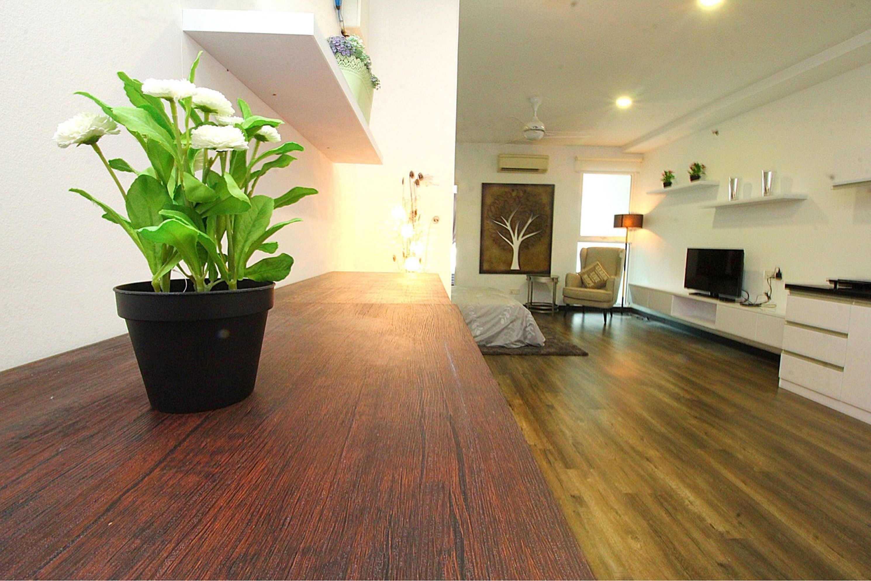 A modern living room with a wooden floor, a potted plant, a sofa, a TV, and a painting on the wall.